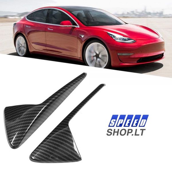 TESLA 3 Carbon kameros apdaila